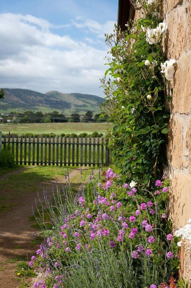 Bed & Breakfast Daisy Bank Richmond
