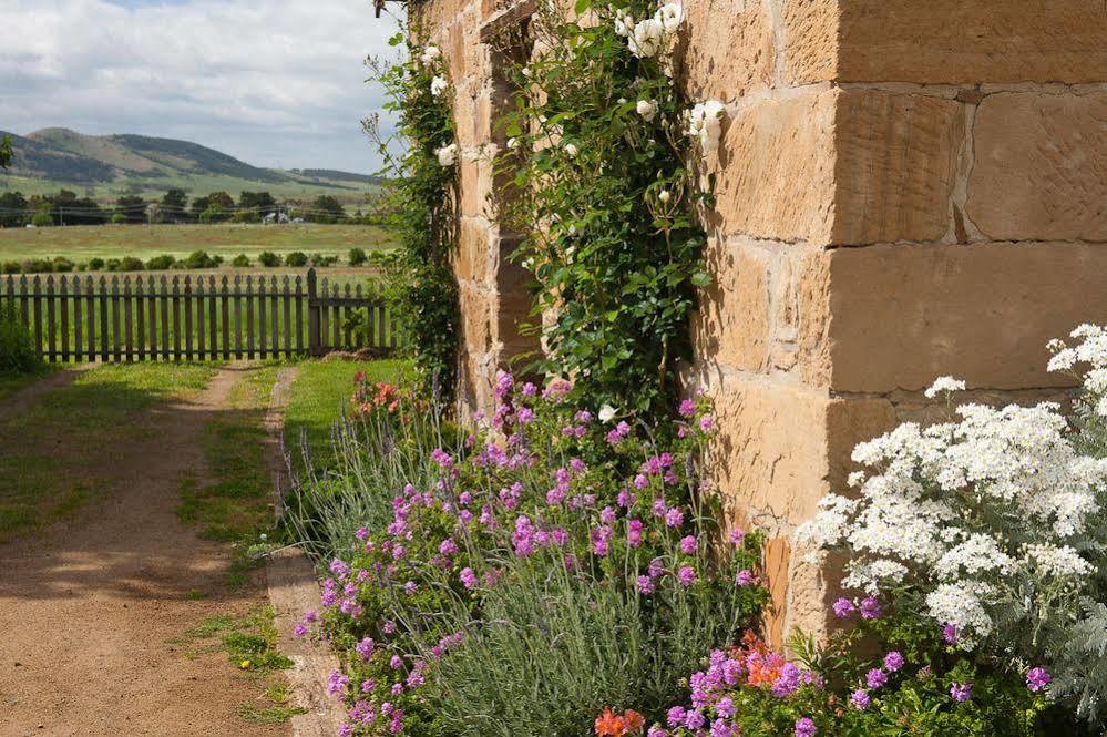 Daisy Bank Bed & Breakfast